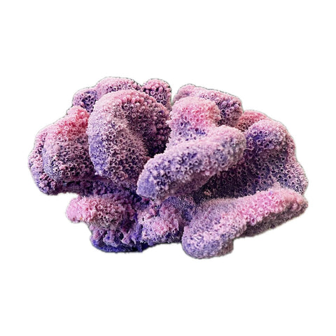 #121 Large Cauliflower Acropora aquarium decoration