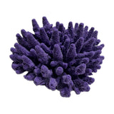 #101 Gem Coral aquarium decorations