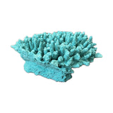 #122 Medium Cytherea Table Coral aquarium decorations