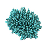 #122 Medium Cytherea Table Coral aquarium decorations