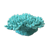 #122 Medium Cytherea Table Coral aquarium decorations