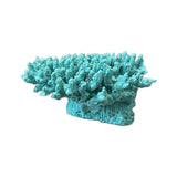 #122 Medium Cytherea Table Coral aquarium decorations