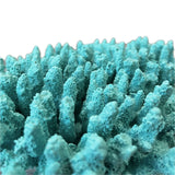 #122 Medium Cytherea Table Coral aquarium decorations