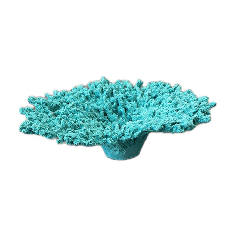 #123 Large Table Acropora aquarium decorations