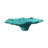 #123 Large Table Acropora aquarium decorations