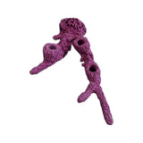 MAGNETIC 3 Hole Acro Branch Live Coral Frag Rock