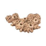 MAGNETIC 5 Hole Frag Shelf