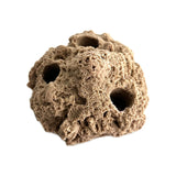 SANDBED 3 Hole Live Coral Frag Rock