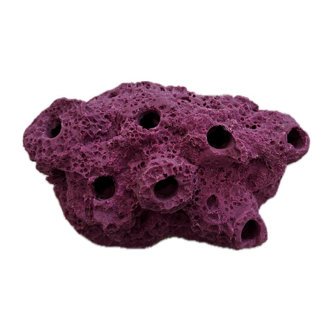 SANDBED 7 Hole Live Coral Frag Rock