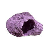 MAGNETIC Barnacle Swim Through