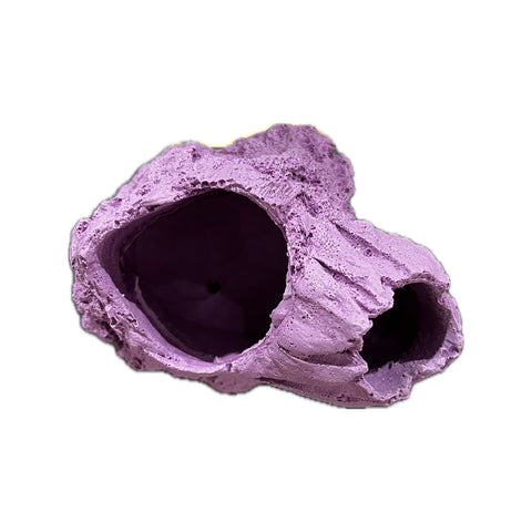 MAGNETIC Barnacle Swim Through