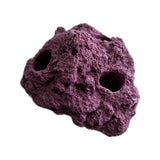 SANDBED 3 Hole Live Coral Frag Rock