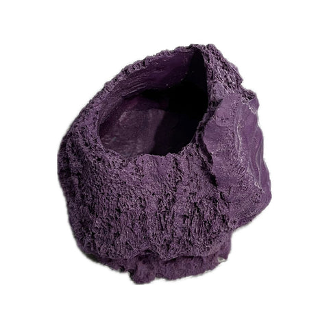 MAGNETIC Large Barnacle