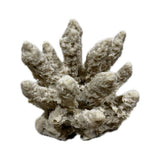 #112 Mini Acropora artificial coral
