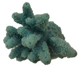 #0100 Mini Gem Acropora