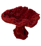 #604 Sm. Oval Cup Coral aquarium decoration (great for seahorse feeding cups)