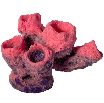 #645 Mini Five Tube Sponge