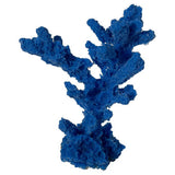 #80 Austere Staghorn