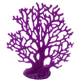 #701 Small Fire Coral Fan