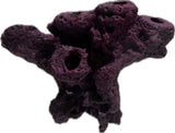 MAGNETIC 5 Hole Frag Rock