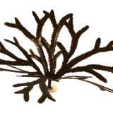 Pangea Artificial Toothed Wrack