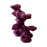 10 Hole Coral Frag Plug Rack: Sandbed Torch Tower Frag Rock