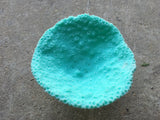 medium oval cup coral