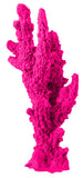 #114 Small Finger Acropora aquarium decor
