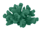 #120 Medium Cauliflower Acropora aquarium decoration