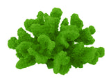 #120 Medium Cauliflower Acropora aquarium decoration