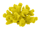 #120 Medium Cauliflower Acropora aquarium decoration