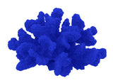 #120 Medium Cauliflower Acropora aquarium decoration