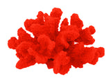 #120 Medium Cauliflower Acropora aquarium decoration