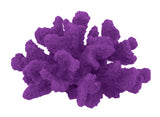 #120 Medium Cauliflower Acropora aquarium decoration