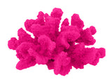 #120 Medium Cauliflower Acropora aquarium decoration