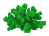#120 Medium Cauliflower Acropora aquarium decoration