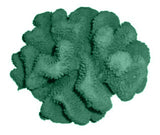 #121 Large Cauliflower Acropora aquarium decoration