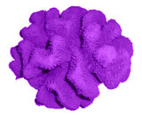 #121 Large Cauliflower Acropora aquarium decoration