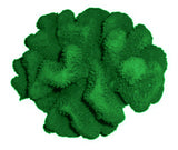 #121 Large Cauliflower Acropora aquarium decoration