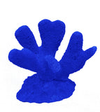 #321 mini club foot