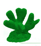 #321 mini club foot