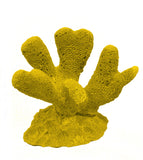 #321 mini club foot