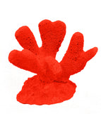 #321 mini club foot