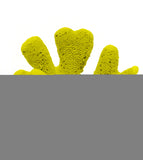 #321 mini club foot