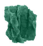 #522 Blue Ridge Coral