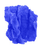 #522 Blue Ridge Coral