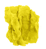 #522 Blue Ridge Coral