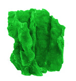 #522 Blue Ridge Coral
