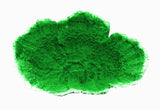 #59 Large Montipora