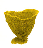 #640 Medium Vase Sponge